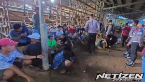 Polres Kukar Gerebek Arena Sabung Ayam di Dusun Putak, 17 Orang Diamankan